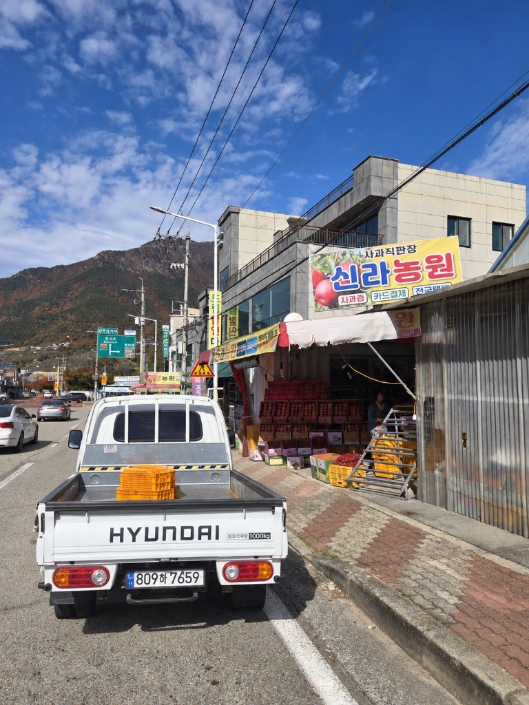 신라농원 밀양얼음골사과 직판장·택배